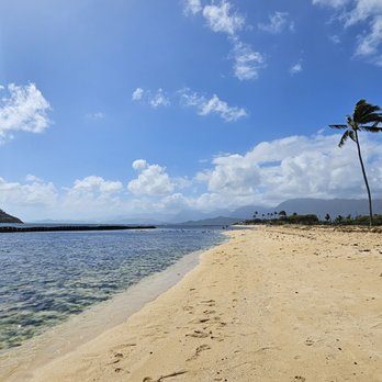 Hawaii Turtle Tours - Tours Near Me - Honolulu, Hawaii
