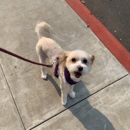 Bella after her cute she's loving it Bella after her cute she's loving it