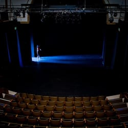 Langston Hughes Performing Arts Institute - Theater- 285 seats
