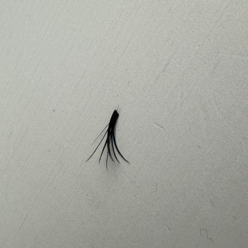 Deka Lash - Eyelash Service Near Me - Delray Beach, Florida Deka Lash - Eyelash Service Near Me - Delray Beach, Florida