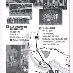 The General Store - 3 great businesses to check out when you are visiting Tallulah Falls!!!