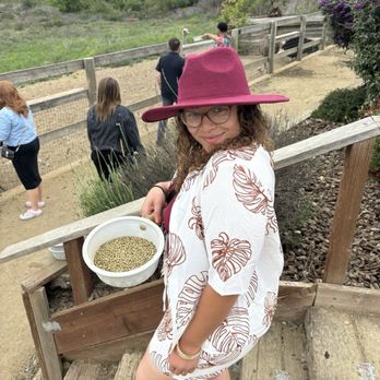 Ostrichland USA - Attraction Farms Near Me - Solvang, California Ostrichland USA - Attraction Farms Near Me - Solvang, California