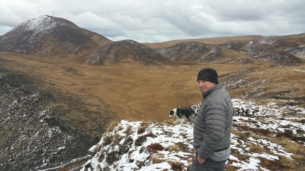 Carlo Creek Cabins by null