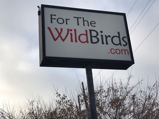 For The Wild Birds by null