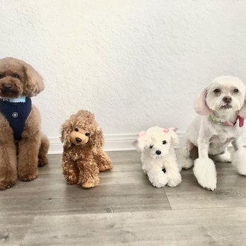 Spoiled Paws Grooming - My babies with their fur babies :) - Pet Groomers Near Me - Long Beach, California Spoiled Paws Grooming - My babies with their fur babies :) - Pet Groomers Near Me - Long Beach, California