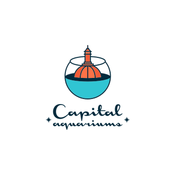 Capital Aquariums - Aquariums Near Me - Austin, Texas Capital Aquariums - Aquariums Near Me - Austin, Texas