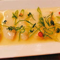 Lure Fishbar - Fluke Crudo