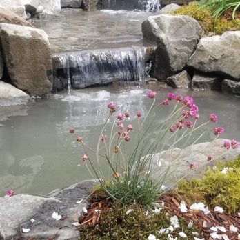 Affordable Ponds - Stream, waterfalls and pond after 7 hours. - Landscaping Near Me Affordable Ponds - Stream, waterfalls and pond after 7 hours. - Landscaping Near Me