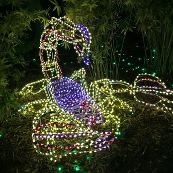 Zoolights - Zoos Near Me - Phoenix, Arizona Zoolights - Zoos Near Me - Phoenix, Arizona