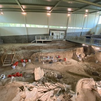 Waco Mammoth National Monument - Museums Near Me - Waco, Texas