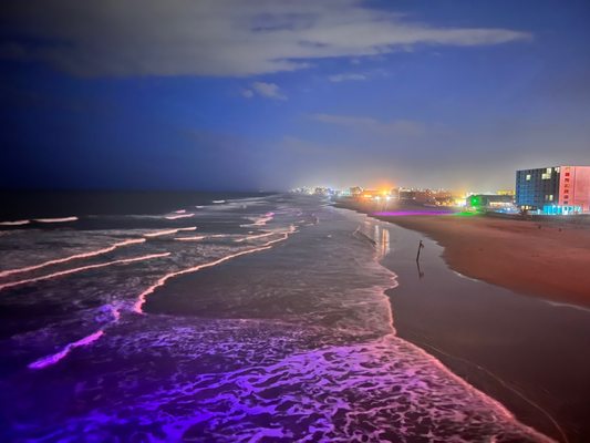 Joe's Crab Shack by null