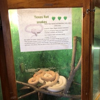 Colorado Gators Reptile Park - Zoos Near Me - Mosca, Colorado
