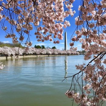 Tidal Basin - Lakes Near Me - Washington, DC, District of Columbia Tidal Basin - Lakes Near Me - Washington, DC, District of Columbia