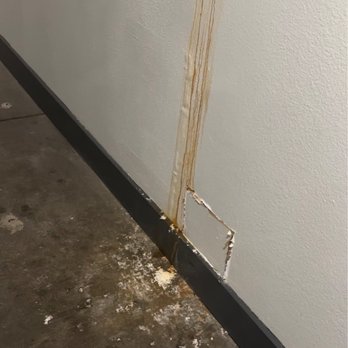Vue On Macgregor Student Living - Disgusting Hallways - Apartments Near Me - Houston, Texas Vue On Macgregor Student Living - Disgusting Hallways - Apartments Near Me - Houston, Texas