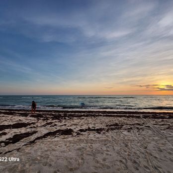 Turtle Beach - Beaches Near Me - Sarasota, Florida