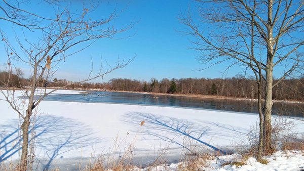 Lake Artemesia Natural Area by null