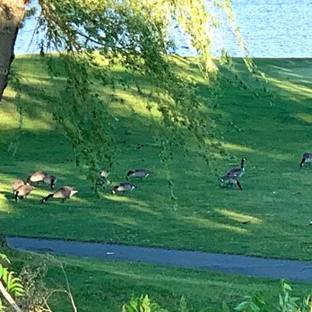 North Bay Park - Parks Near Me - Ypsilanti, Michigan North Bay Park - Parks Near Me - Ypsilanti, Michigan