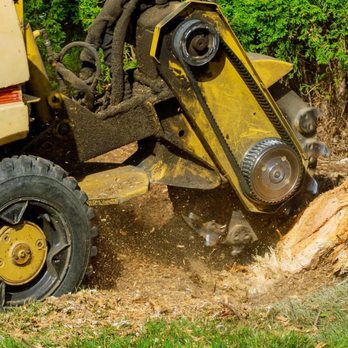 Trees Plus - Tree Services Near Me - Portage, Indiana