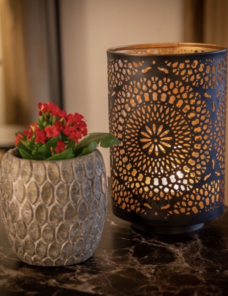 Aesthetics By Veronica Logo