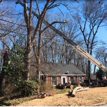 Porterfield Tree - Tree Services Near Me - Lawrenceville, Georgia Porterfield Tree - Tree Services Near Me - Lawrenceville, Georgia