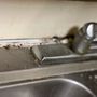 Photo of Crystal View Cleaning