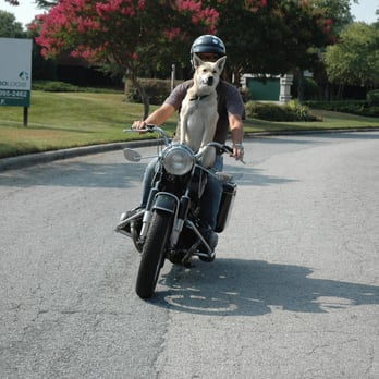 Blue Moon Cycle - Meet Corndog, the motorcycle riding K9 - Motorcycle Dealers Near Me - Norcross, Georgia Blue Moon Cycle - Meet Corndog, the motorcycle riding K9 - Motorcycle Dealers Near Me - Norcross, Georgia