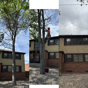 Hoffman’s Happy Tree Care - Tree Services Near Me Hoffman’s Happy Tree Care - Tree Services Near Me