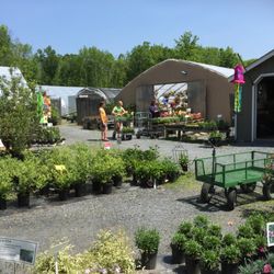 Ginder Greenhouses