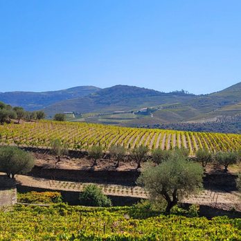 Quinta da Roêda | Croft Port - Wineries Near Me - Vila Real, 17