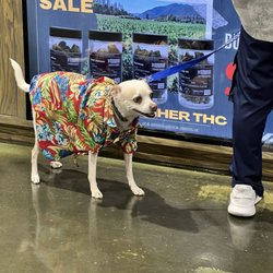 From the Earth Dispensary & Weed Delivery Santa Ana - Pet friendly!