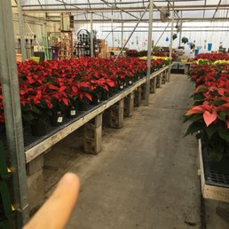 The greenhouse. The greenhouse.