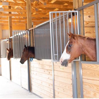 Equine Social - I love the horses. - Wine Tasting Room Near Me - Goodlettsville, Tennessee
