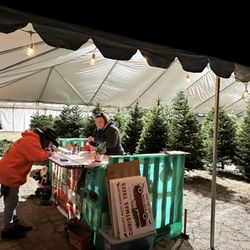 Wheeler's Winter Wonderland Christmas Trees - Come See Our Family Work Together to Help Build Your Families Memories