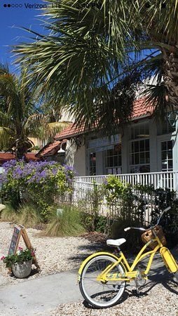 Banyan Tree Pilates Image