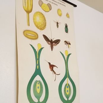 Tasty Harmony - Vegan Near Me - Fort Collins, Colorado