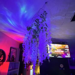 818 Hookah Lounge