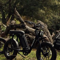 Pedego Electric Bikes Boulder