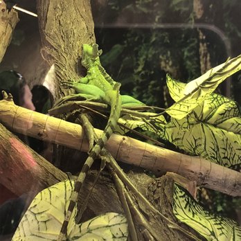 El Paso Zoo - Aquariums Near Me - El Paso, Texas El Paso Zoo - Aquariums Near Me - El Paso, Texas
