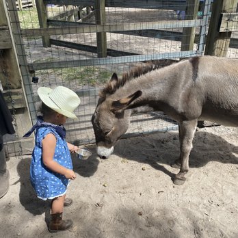 MM Equestrian Farm - Horseback Riding Near Me - North Miami, Florida MM Equestrian Farm - Horseback Riding Near Me - North Miami, Florida