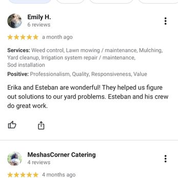Lazo Landscaping - Reviews on google - Lawn Services Near Me