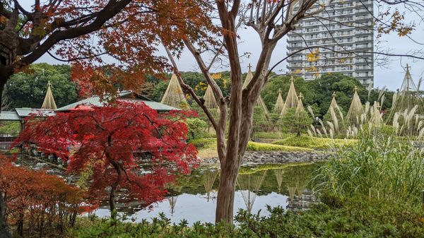 Shirotori Garden by null