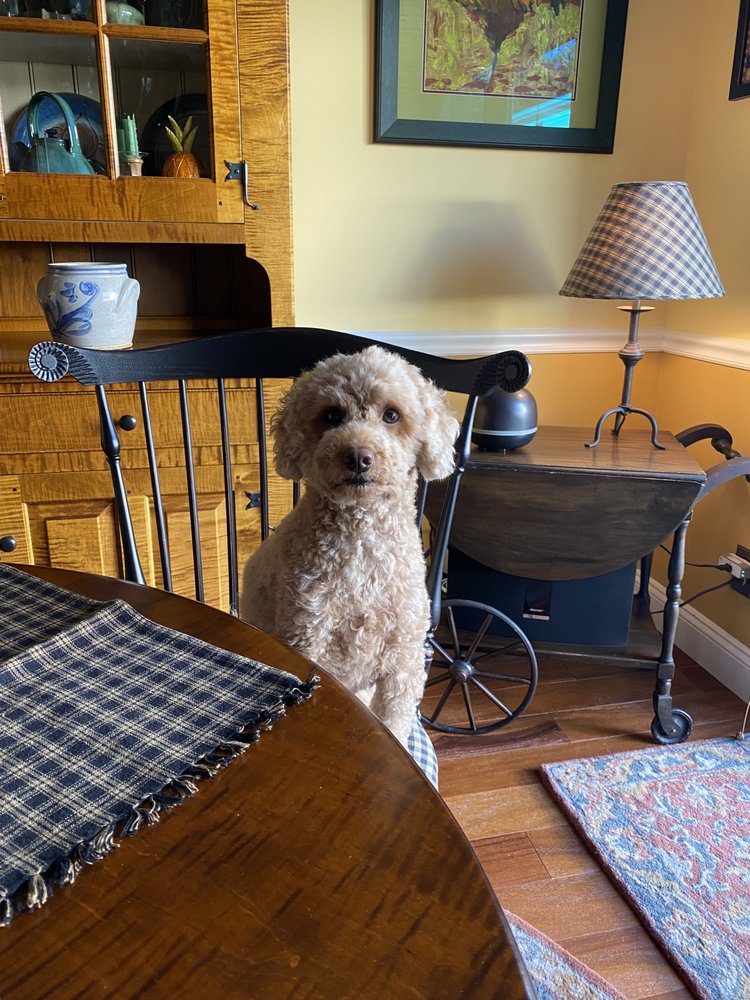 AMBOY AVENUE ANIMAL HOSPITAL Updated July 2024 10 Photos & 17