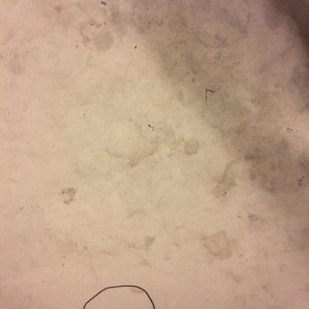 Steam Solutions Carpet Care - Look how disgusting. Steam Solutions took these stains out! Awesome Job! - Carpet Cleaning Near Me - San Antonio, Texas Steam Solutions Carpet Care - Look how disgusting. Steam Solutions took these stains out! Awesome Job! - Carpet Cleaning Near Me - San Antonio, Texas