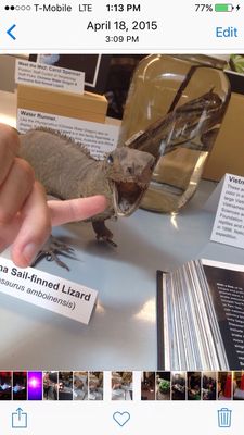 University of California Museum of Paleontology by null