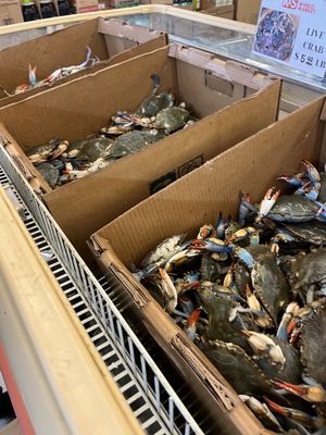 K&S World Market by null