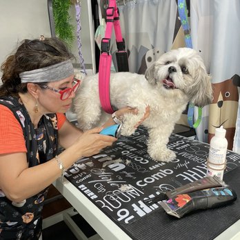 Wet Nose Grooming - Gigi getting her pedi - Pet Groomers Near Me