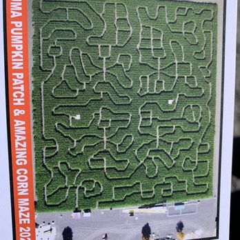 Petaluma Pumpkin Patch And Amazing Corn Maze - Pumpkin Patches Near Me - Petaluma, California Petaluma Pumpkin Patch And Amazing Corn Maze - Pumpkin Patches Near Me - Petaluma, California