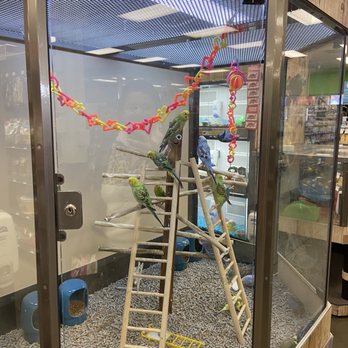 Petco - Pet Stores Near Me - Antelope, California Petco - Pet Stores Near Me - Antelope, California