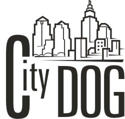 City Dog Image