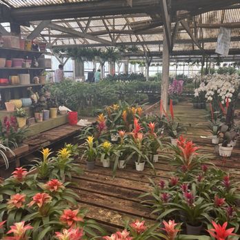 Foothill Nursery - Nurseries & Gardening Near Me - Sylmar, California Foothill Nursery - Nurseries & Gardening Near Me - Sylmar, California